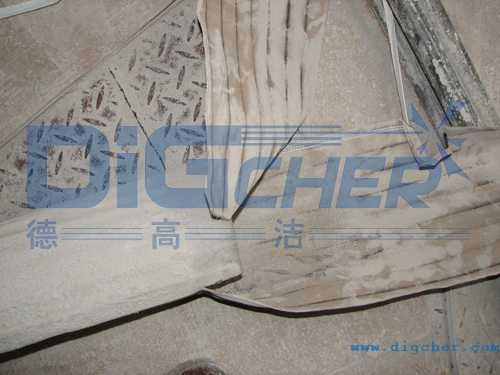 ���W(xu��)���g��(d��o)�V���Ɠp